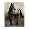 Stupell Industries Copper & Nickel Horse Canvas Wall Art Design by Marilyn Hageman